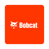 Bobcat